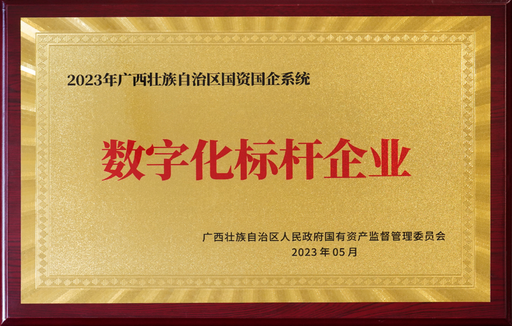 自治区数字化标杆企业.png